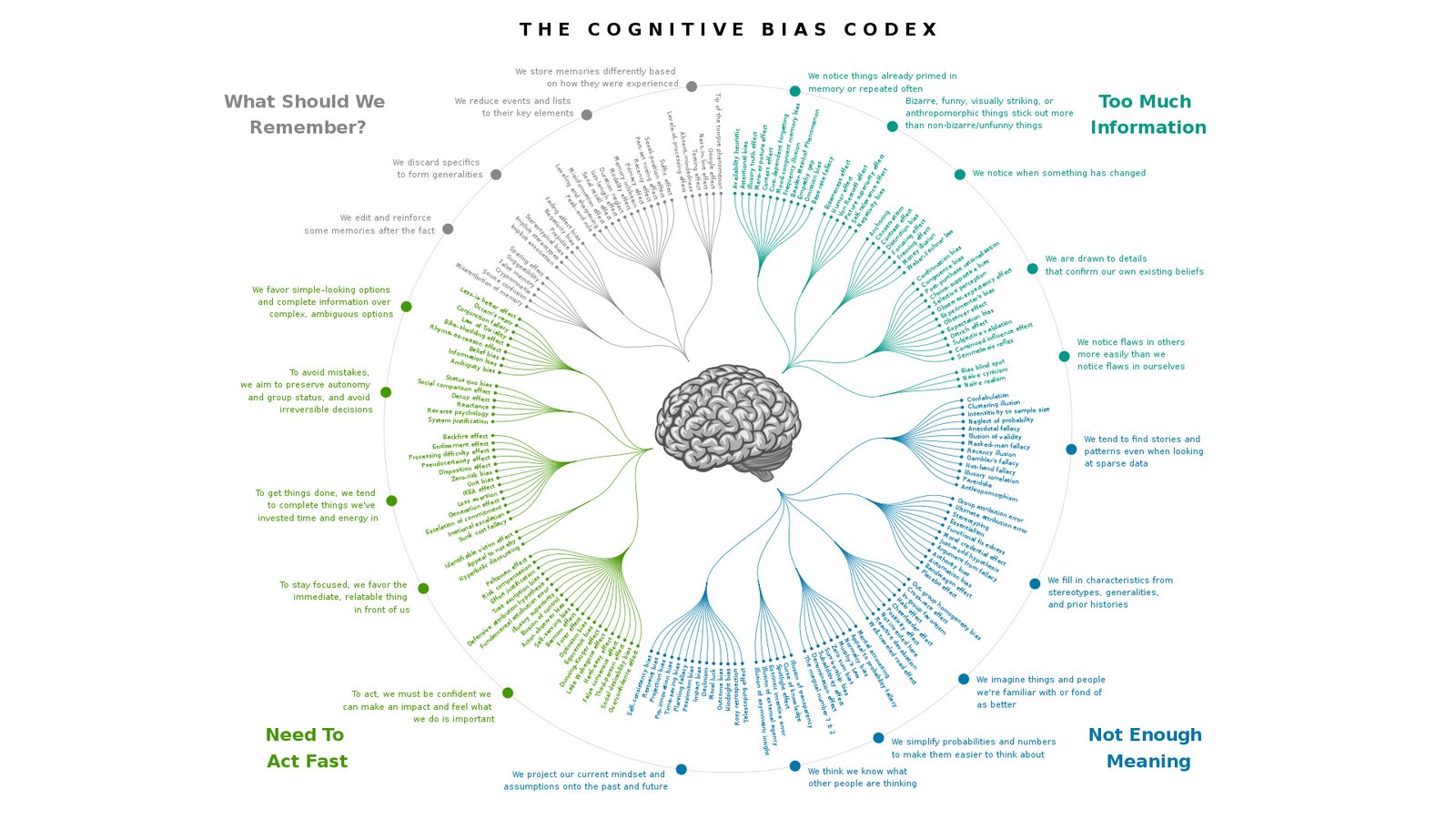 cognitiva bias